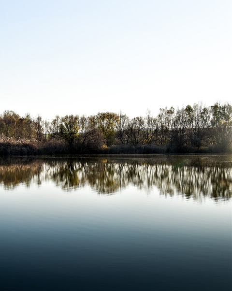 D55_1077-WEB