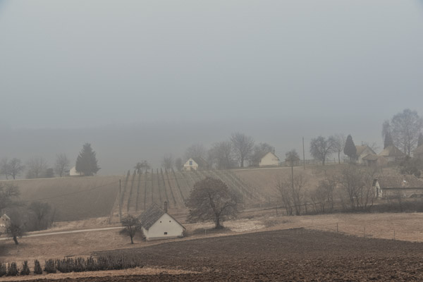 D55_1544-WEB