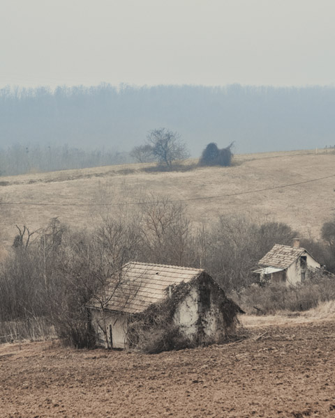 D55_1626-2-WEB
