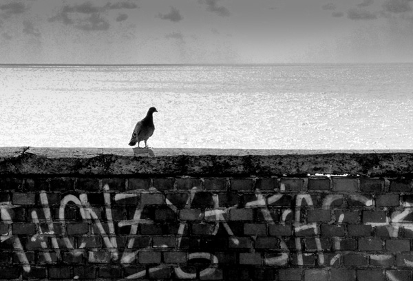 ND7_9344-WEB